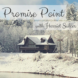 promise-point-icon